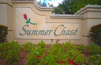 Summer Chase