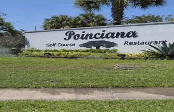 Poinciana 1