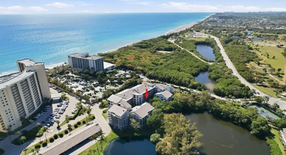Ocean Trail
