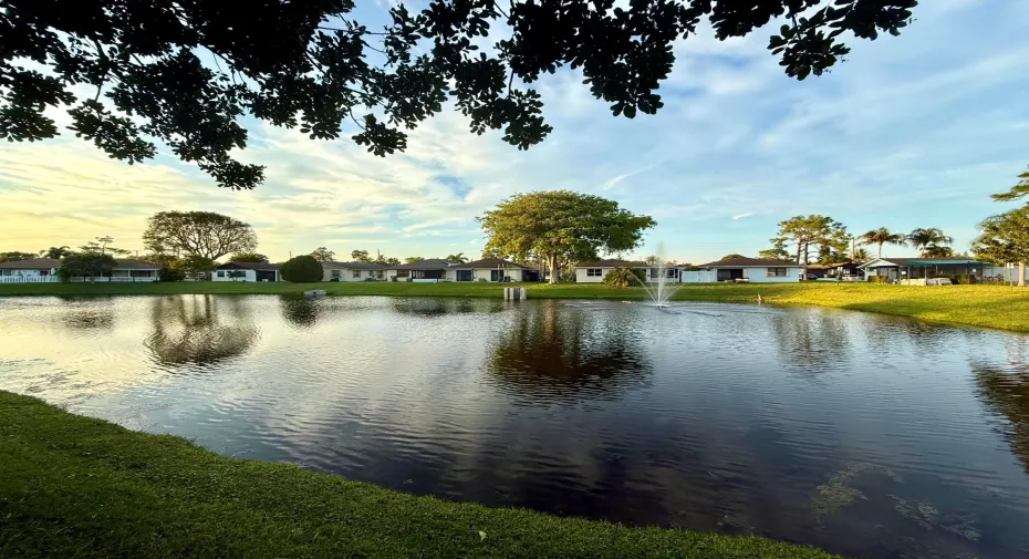 Water View