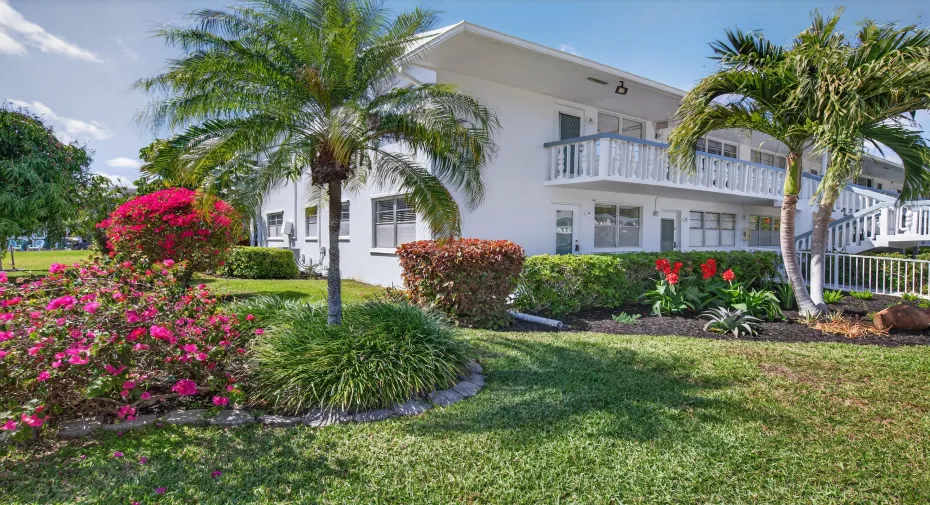andrade-17
