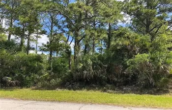 land copy 2