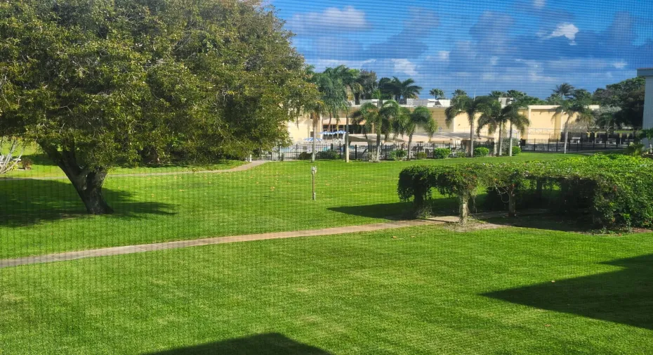 Florida Rm Garden View