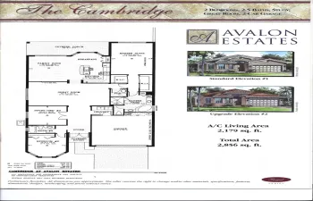 The Cambridge - Avalon Estates