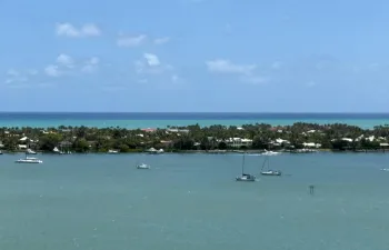 The View