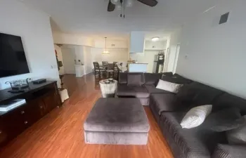 Y living area profile