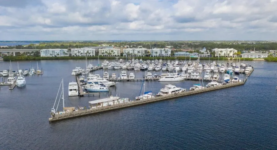 Main Harborage Picture
