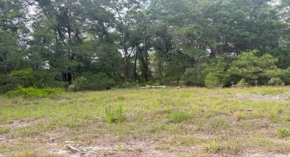 Lot 4