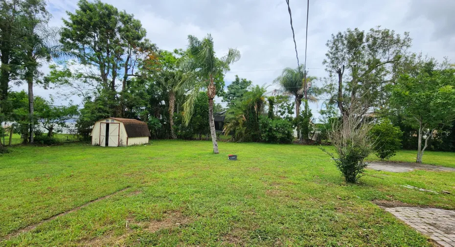 Big Backyard