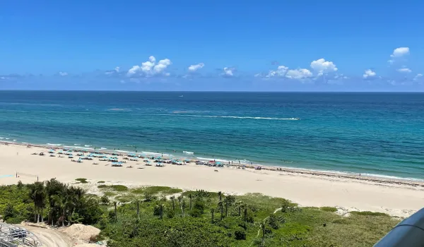 View from Unit