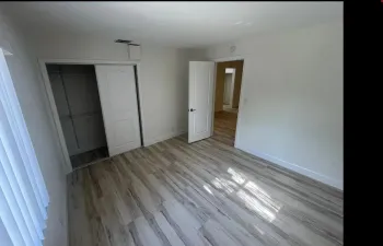 241