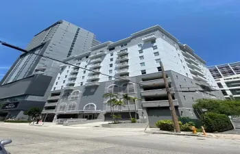 parview 3