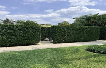 Everglade Entrance