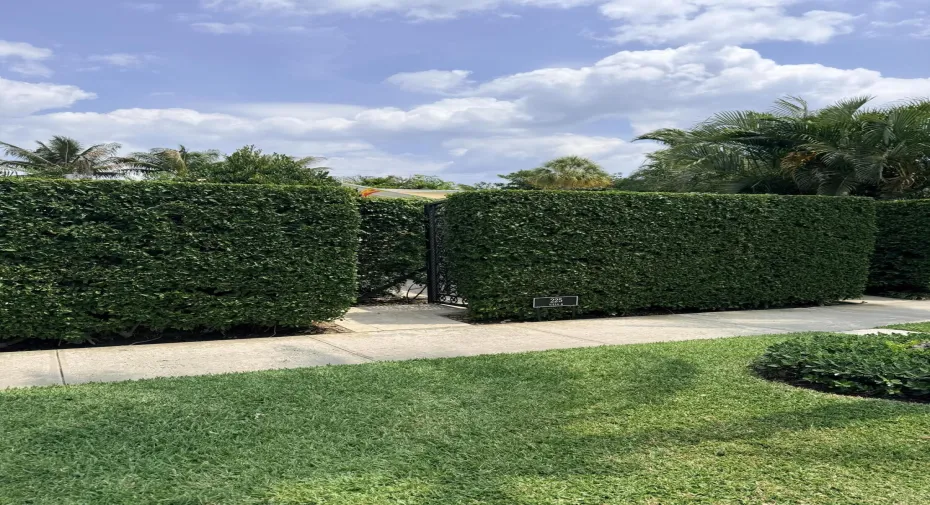 Everglade Entrance