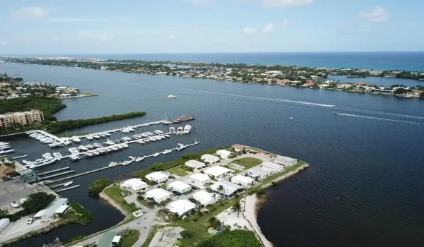 HHC5