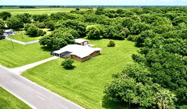 Aerial
