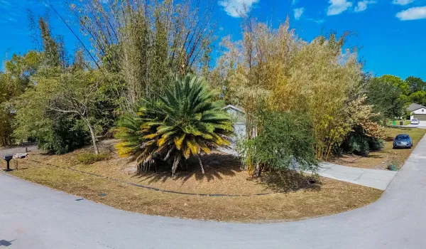 DJI_0284