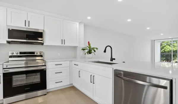 16-web-or-mls-2651-9379