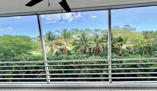 Golf View