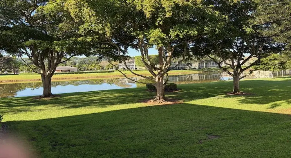 VIEW FROM FRONT DOOR