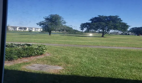 Golf view