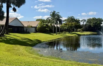 Houses and lake view