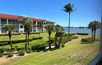 Palm Tree Garden