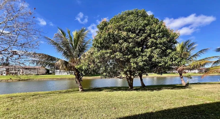 Highly Desirable First Floor 2/1.5 With Water Views and Fantastic Location Close to the Haverhill Entrance and Main Clubhouse!