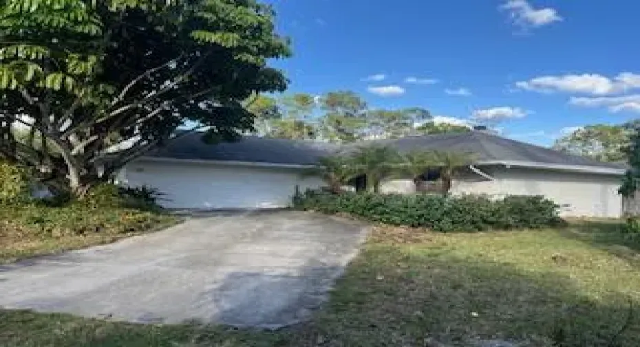 image1 (1)