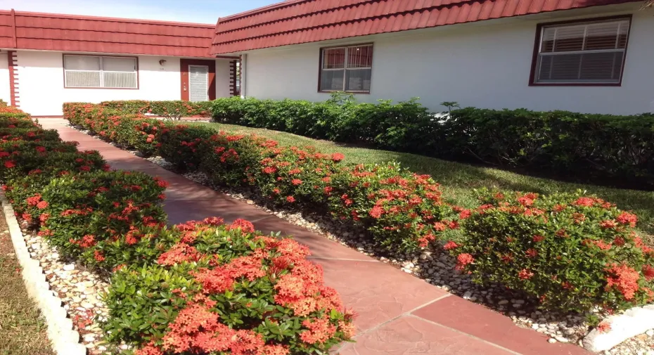 Outside all way to entrance of Villa