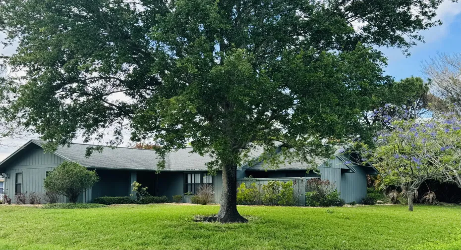 DSC07313