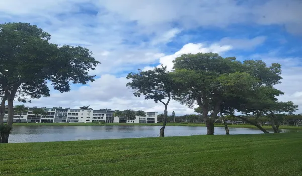view from back