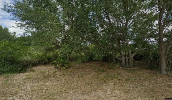 2312 Abbott Ave Alva, FL 33920 PHOTO