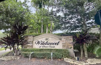 photoofwildwood