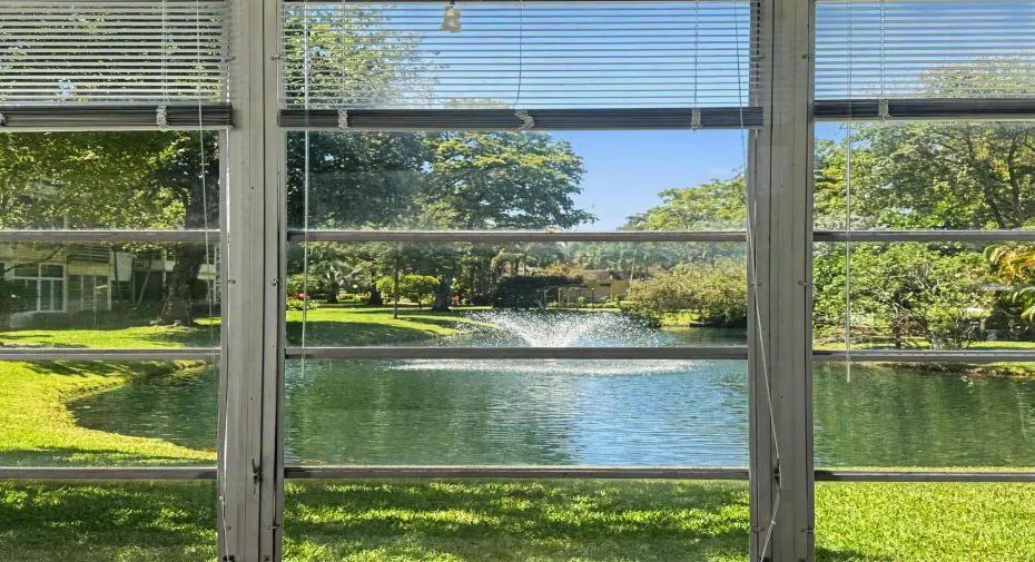 Sunroom Window View