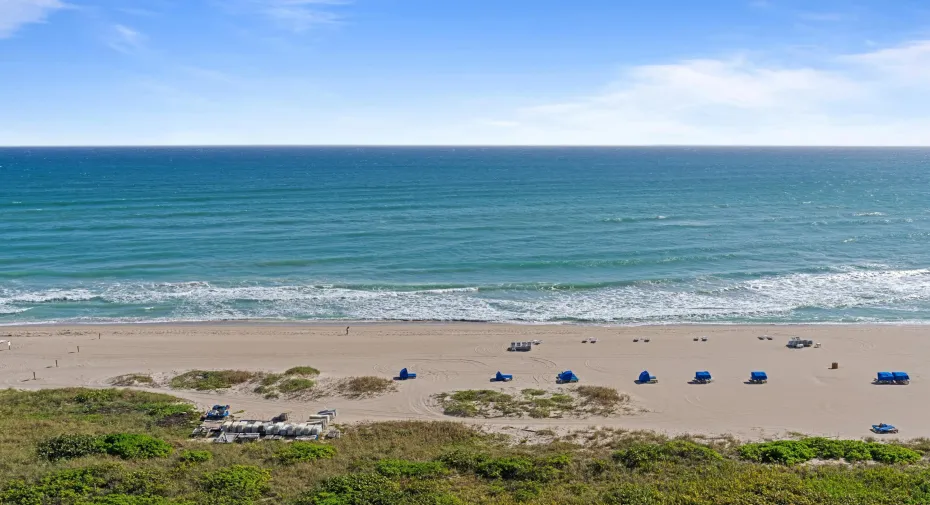 Ocean View