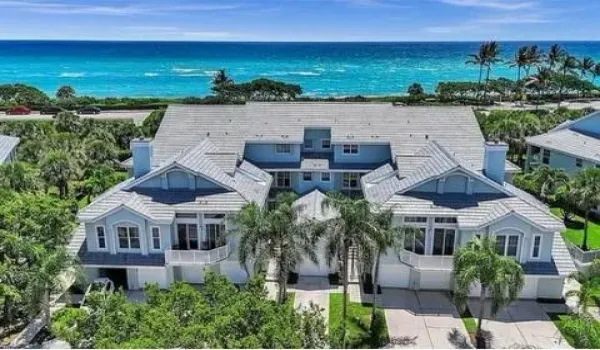 Sea Colony