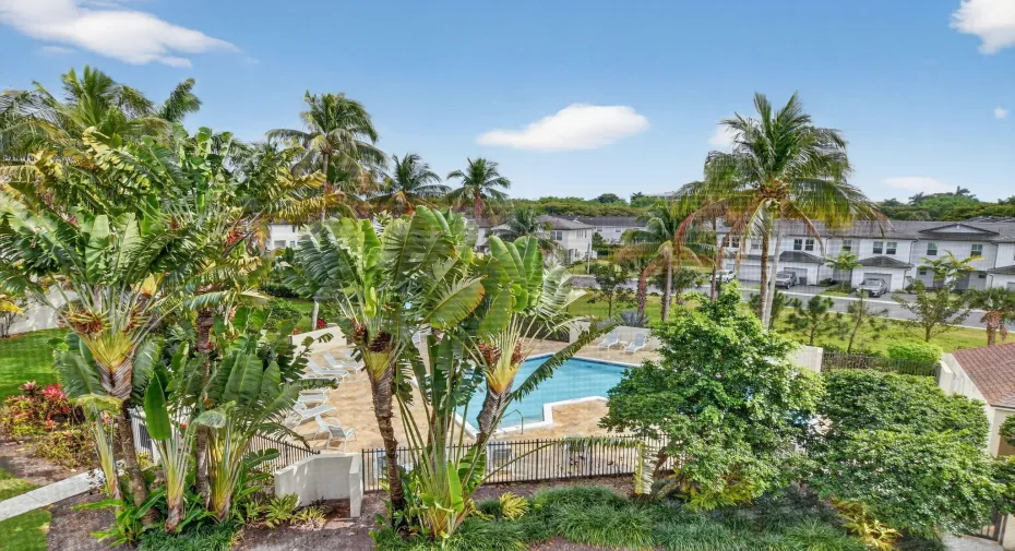VIEW FROM PATIO
