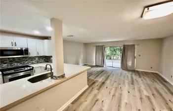 Kitchen/Living Area