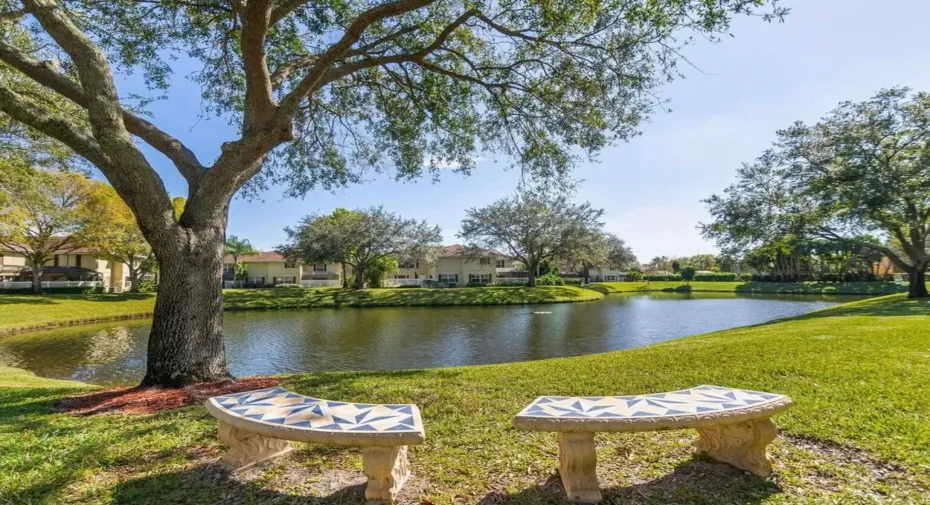 Beautiful lake view
