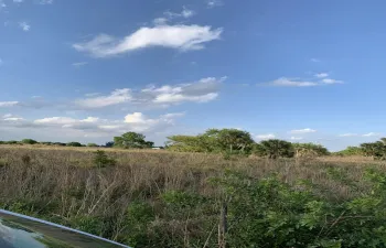 open land