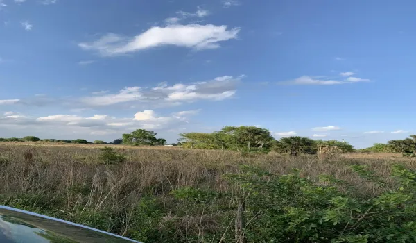 open land