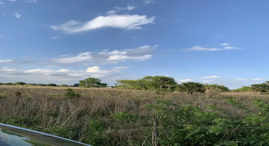 open land