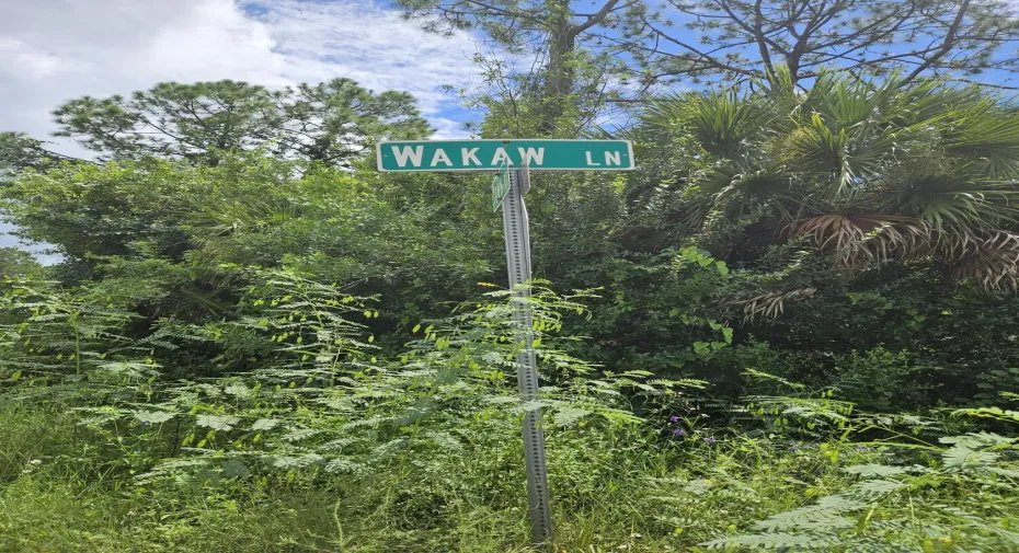 1000022566