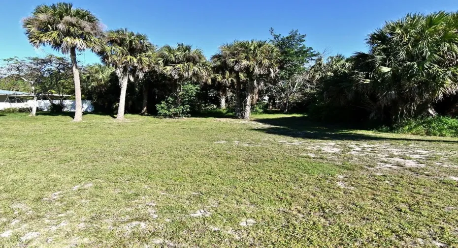 01-DJI_20260509125316_0100_D