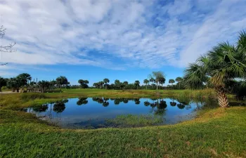 freshwater pond