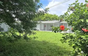 image (19)