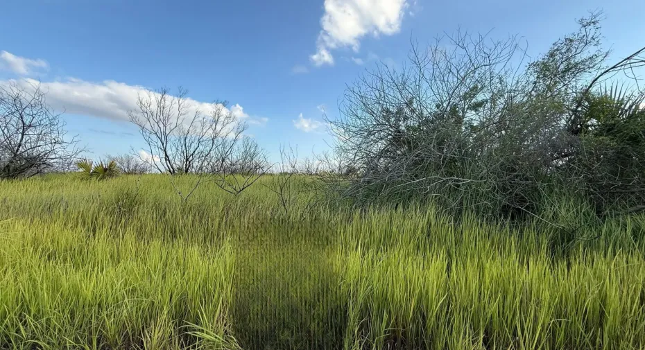 Oversized Lot | 12,632 ± sq ft | Build Your Dream Home Quiet, growing SW Palm Bay location with room to design the layout you want. No HOA. Choose your own builder. Close to shopping, schools and I-95. • Lot size approx. 12,632 ± sq ft • Paved road frontage Also available nearby: a slightly smaller corner lot at 12,196 ± sq ft. Ask about purchasing both for extra space or future flexibility.