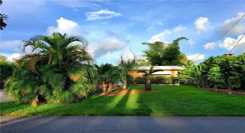 Front Yard