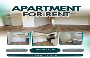 Green and White Modern Apartment for Ren